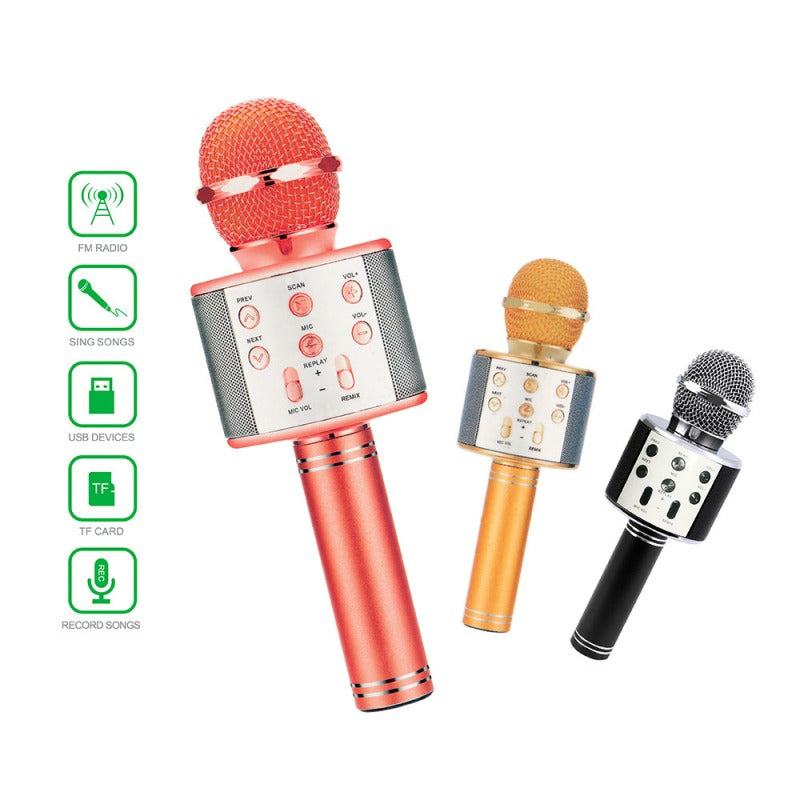 Wireless Karaoke Mic – Portable Bluetooth Microphone